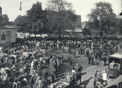 99038 Gezicht op het Vredenburg te Utrecht tijdens de laatste veemarkt op het plein.N.B. De eerstvolgende markt zal op ...